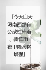 今天白天河南西部有分散性阵雨、雷阵雨 夜里降水将增强