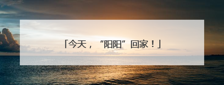 今天，“阳阳”回家！