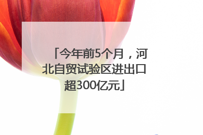 今年前5个月，河北自贸试验区进出口超300亿元