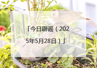 今日辟谣（2025年5月28日）