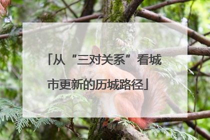 从“三对关系”看城市更新的历城路径
