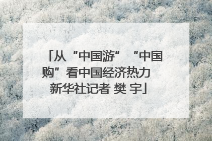 从“中国游”“中国购”看中国经济热力 新华社记者 樊 宇