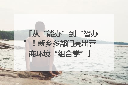 从“能办”到“智办”！新乡多部门亮出营商环境“组合拳”