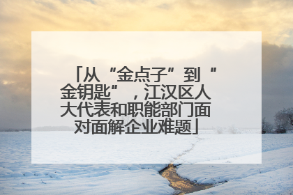 从“金点子”到“金钥匙”，江汉区人大代表和职能部门面对面解企业难题