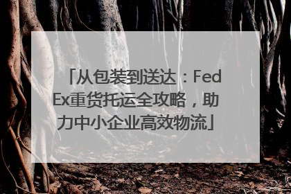 从包装到送达：FedEx重货托运全攻略，助力中小企业高效物流