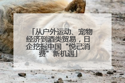 从户外运动、宠物经济到酒类贸易，日企挖掘中国“悦己消费”新机遇