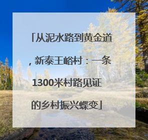 从泥水路到黄金道，新泰王峪村：一条1300米村路见证的乡村振兴蝶变