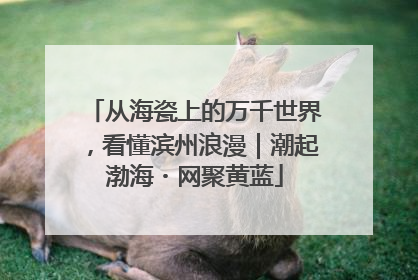 从海瓷上的万千世界，看懂滨州浪漫｜潮起渤海・网聚黄蓝