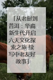 从老挝到普洱：华裔新生代开启六天文化探索之旅 续写中老友好故事