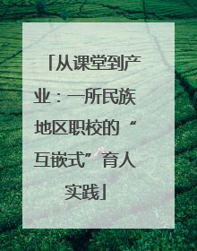 从课堂到产业：一所民族地区职校的“互嵌式”育人实践