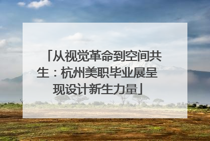 从视觉革命到空间共生：杭州美职毕业展呈现设计新生力量