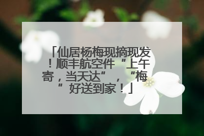 仙居杨梅现摘现发！顺丰航空件“上午寄，当天达”，“梅”好送到家！