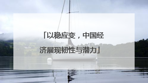 以稳应变，中国经济展现韧性与潜力