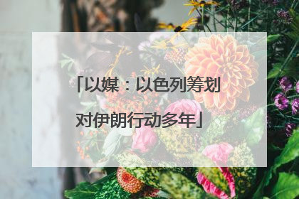 以媒：以色列筹划对伊朗行动多年