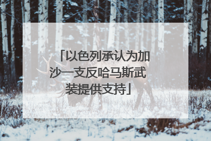 以色列承认为加沙一支反哈马斯武装提供支持