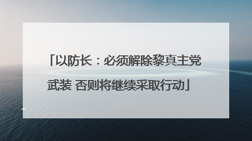 以防长：必须解除黎真主党武装 否则将继续采取行动