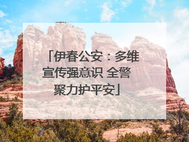 伊春公安：多维宣传强意识 全警聚力护平安