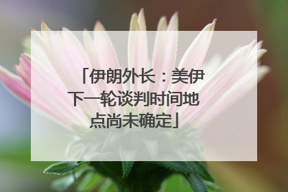 伊朗外长：美伊下一轮谈判时间地点尚未确定