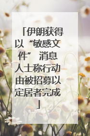 伊朗获得以“敏感文件” 消息人士称行动由被招募以定居者完成