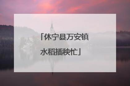 休宁县万安镇水稻插秧忙