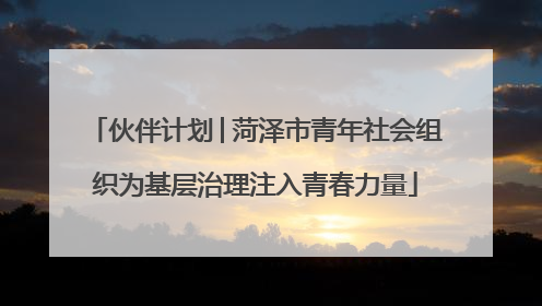 伙伴计划│菏泽市青年社会组织为基层治理注入青春力量