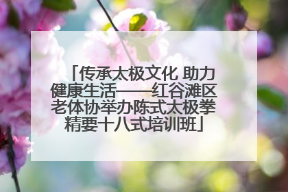 传承太极文化 助力健康生活——红谷滩区老体协举办陈式太极拳精要十八式培训班