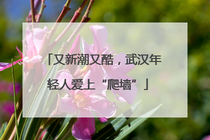又新潮又酷，武汉年轻人爱上“爬墙”