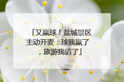 又赢球！盐城景区主动开麦：球我赢了，旅游我请了