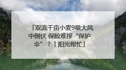 双流千亩小麦9级大风中倒伏 保险难撑“保护伞”？丨阳光帮忙