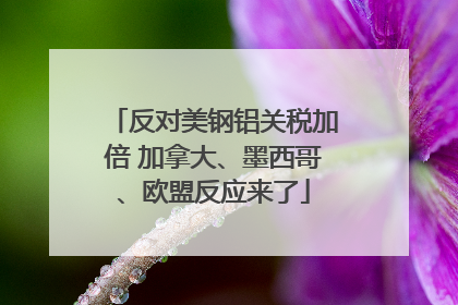 反对美钢铝关税加倍 加拿大、墨西哥、欧盟反应来了