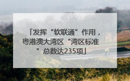 发挥“软联通”作用，粤港澳大湾区“湾区标准”总数达235项