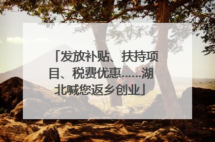 发放补贴、扶持项目、税费优惠……湖北喊您返乡创业