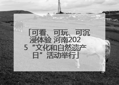 可看、可玩、可沉浸体验 河南2025“文化和自然遗产日”活动举行