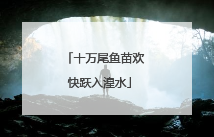 十万尾鱼苗欢快跃入湟水