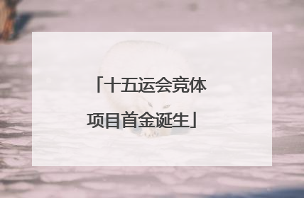 十五运会竞体项目首金诞生