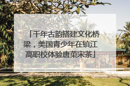 千年古韵搭建文化桥梁，美国青少年在镇江高职校体验唐菓宋茶