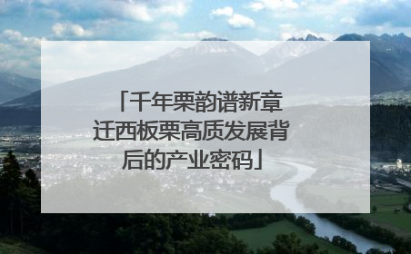 千年栗韵谱新章 迁西板栗高质发展背后的产业密码