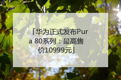 华为正式发布Pura 80系列：最高售价10999元