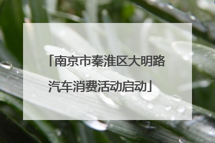 南京市秦淮区大明路汽车消费活动启动
