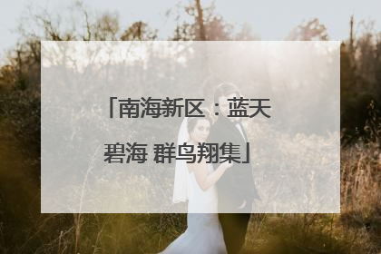南海新区：蓝天碧海 群鸟翔集