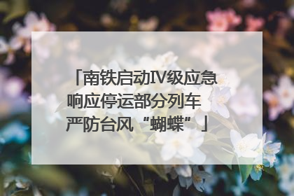 南铁启动Ⅳ级应急响应停运部分列车 严防台风“蝴蝶”