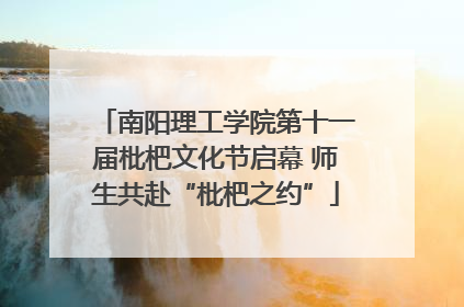 南阳理工学院第十一届枇杷文化节启幕 师生共赴“枇杷之约”