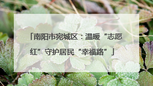 南阳市宛城区：温暖“志愿红”守护居民“幸福路”