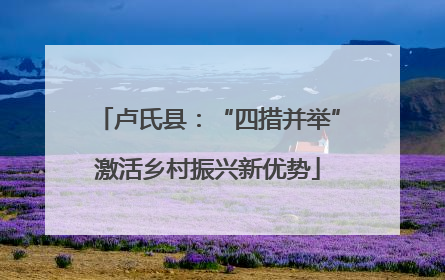卢氏县：“四措并举”激活乡村振兴新优势