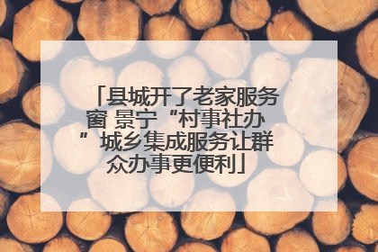 县城开了老家服务窗 景宁“村事社办”城乡集成服务让群众办事更便利