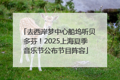 去西岸梦中心船坞听贝多芬！2025上海夏季音乐节公布节目阵容