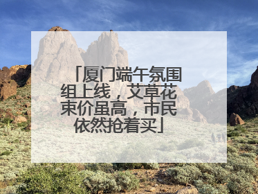 厦门端午氛围组上线，艾草花束价虽高，市民依然抢着买