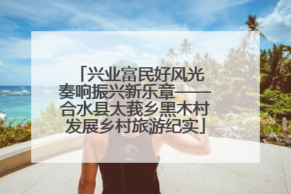 兴业富民好风光 奏响振兴新乐章——合水县太莪乡黑木村发展乡村旅游纪实