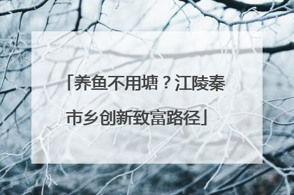 养鱼不用塘？江陵秦市乡创新致富路径