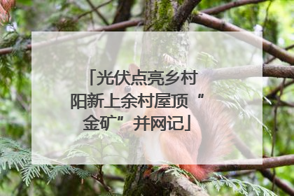 光伏点亮乡村 阳新上余村屋顶“金矿”并网记